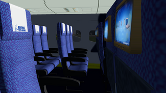737-800 Cabin (Landing at EBBR)